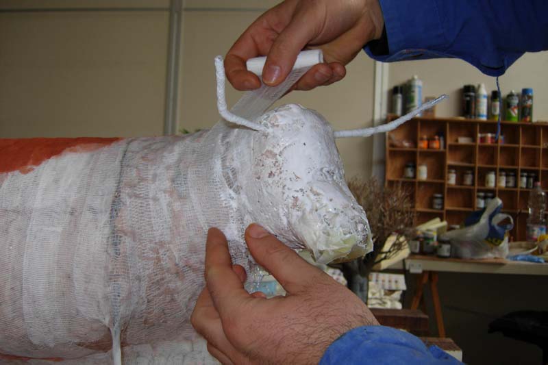 clicca per ingrandire